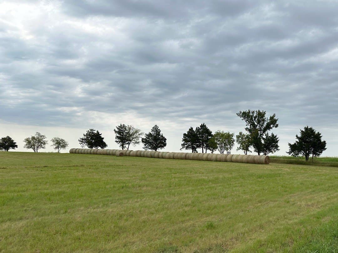 29.23 acres in Grayson County - photo 6