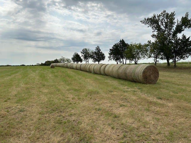 29.23 acres in Grayson County - photo 3