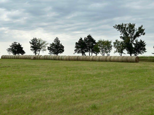 29.23 acres in Grayson County - photo 7