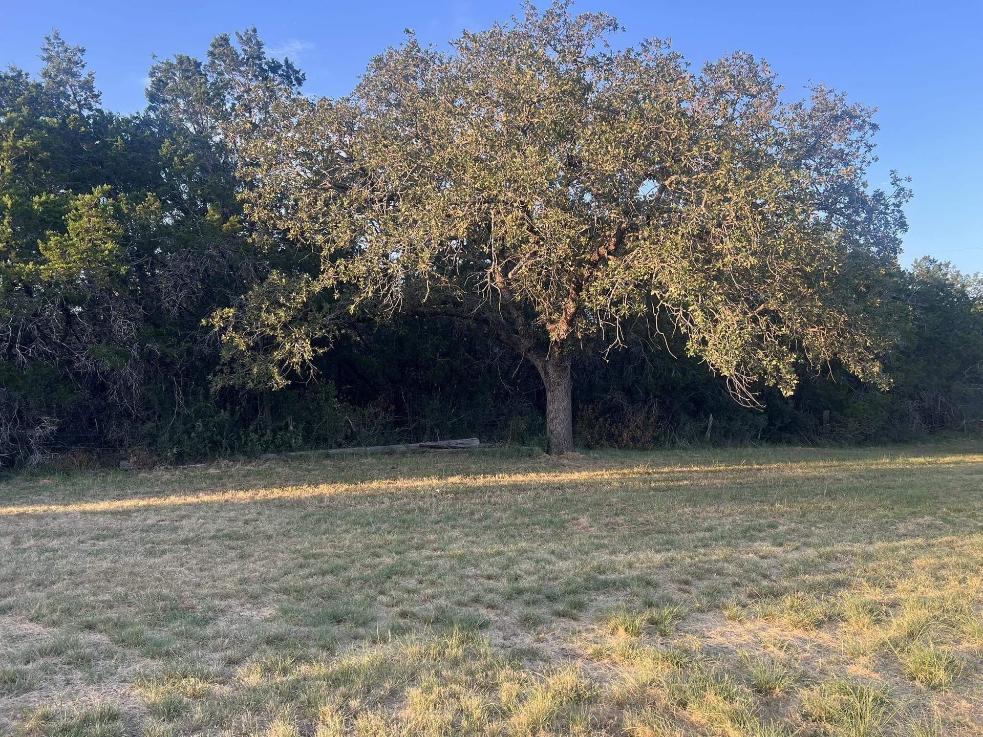 2.36 acres in Burnet County - photo 14