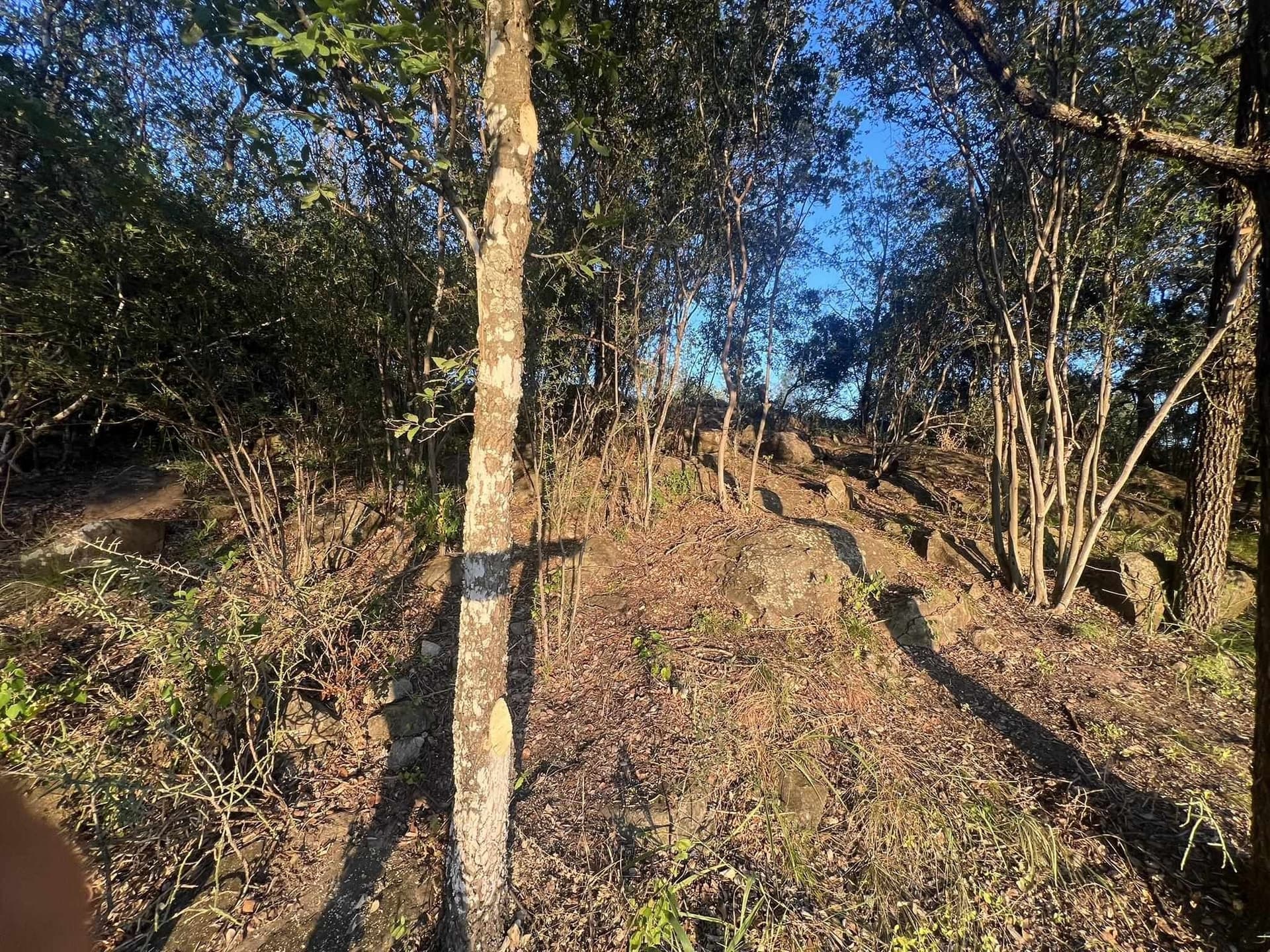 2.36 acres in Burnet County - photo 15