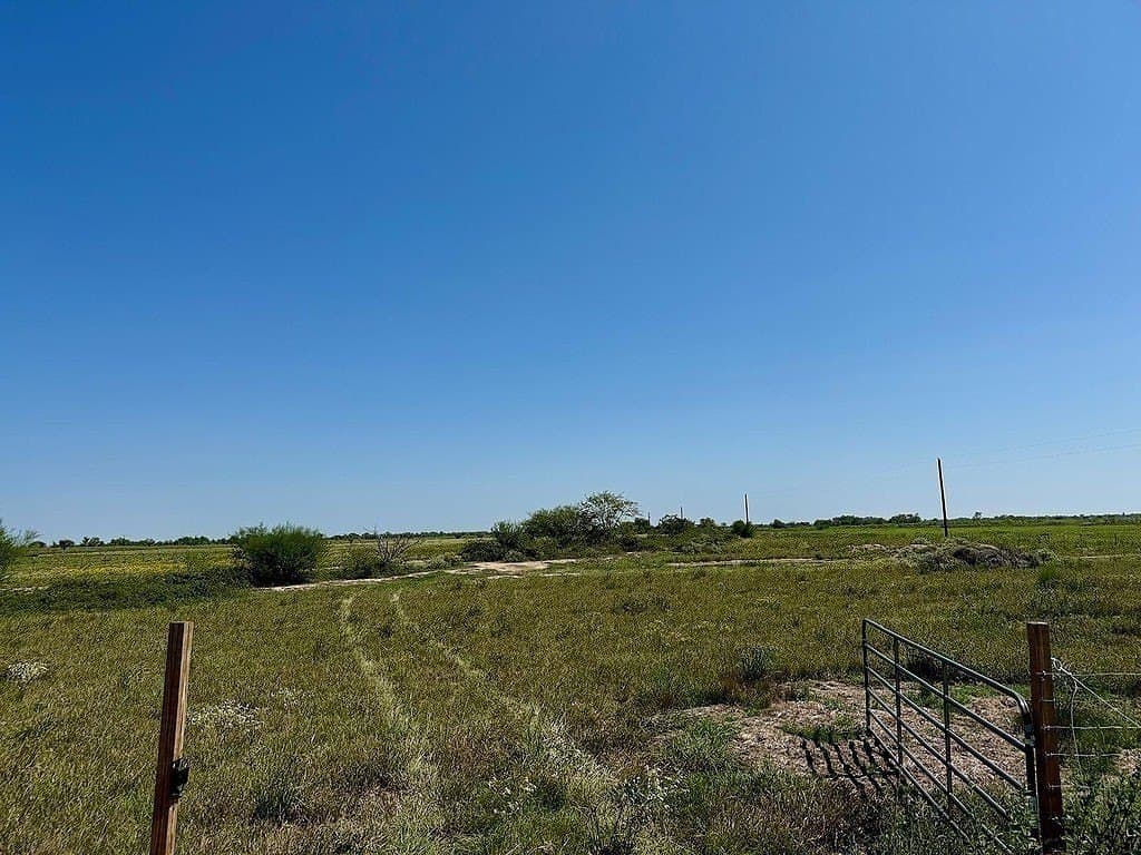 13.85 acres in Colorado County gallery image 4