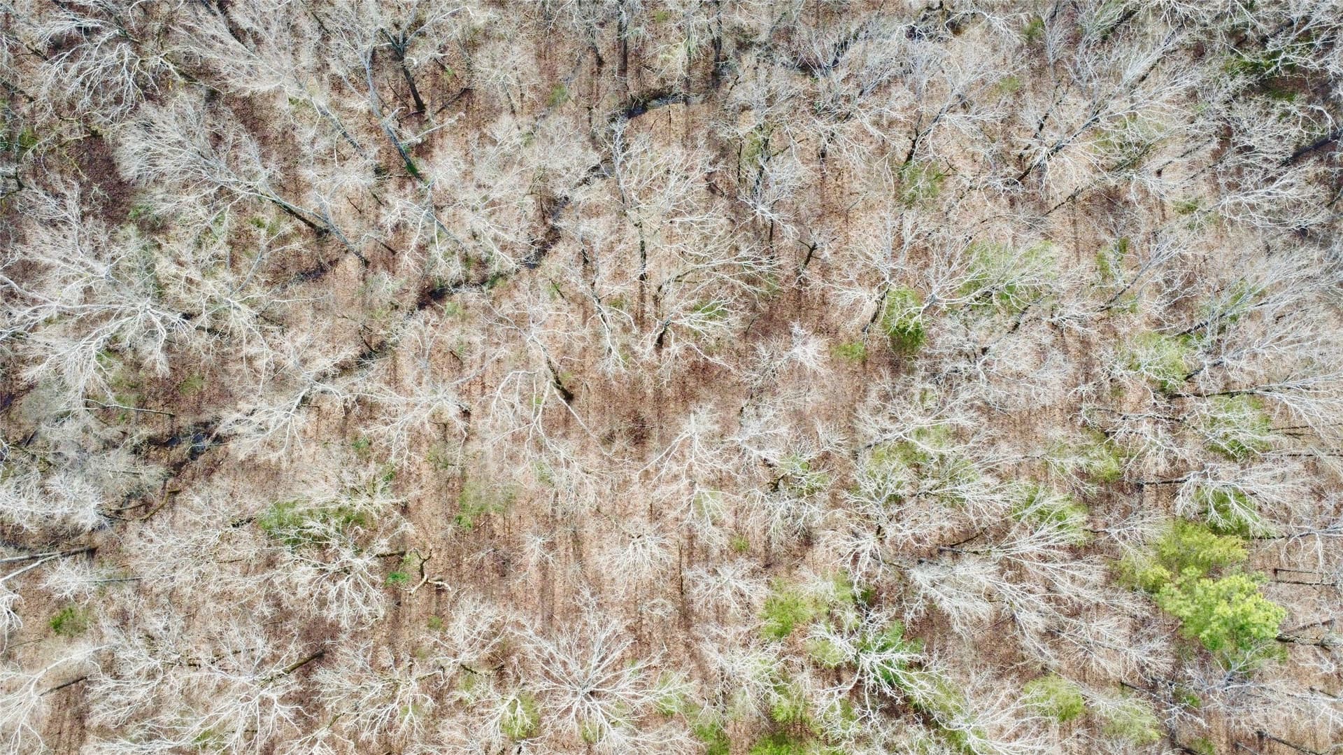 56.76 acres in Morris County gallery image 4