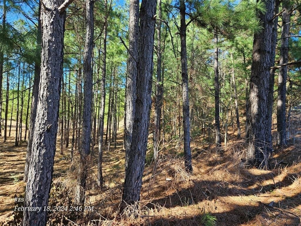 15.04 acres in Smith County featured view