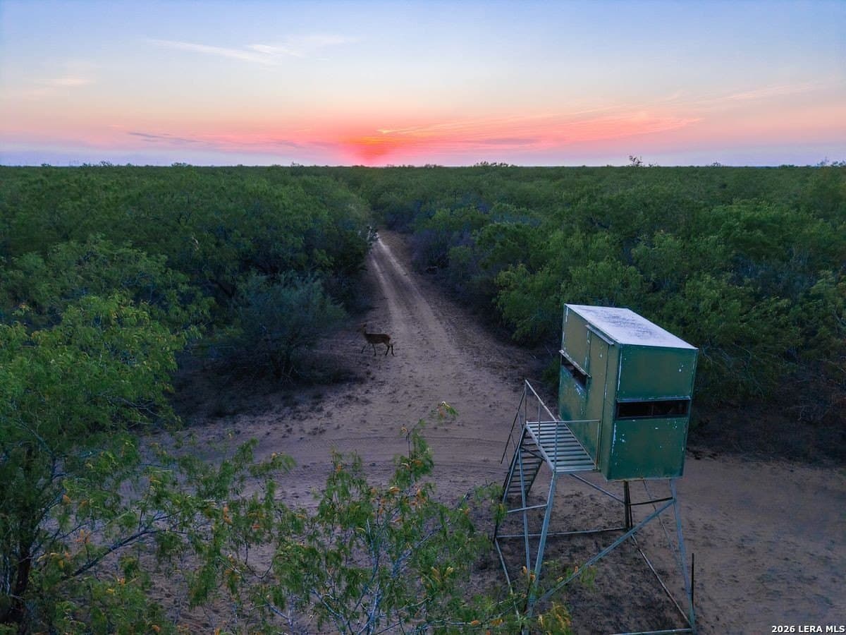 485 acres in Starr County - photo 6