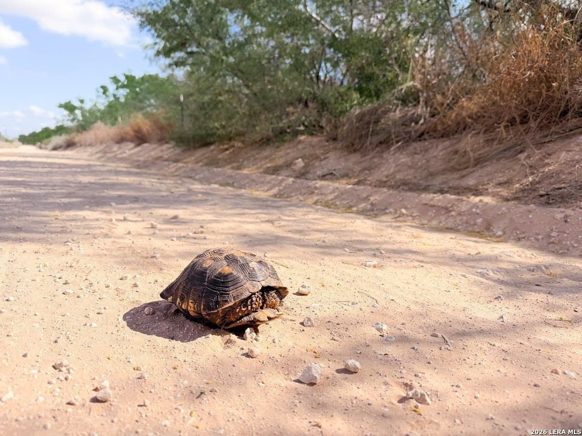 485 acres in Starr County - photo 33