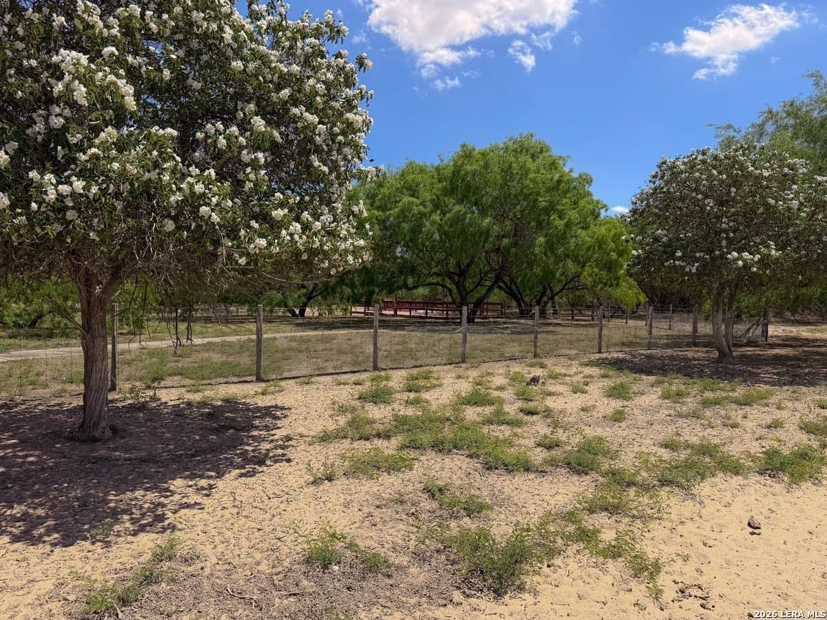 485 acres in Starr County - photo 51