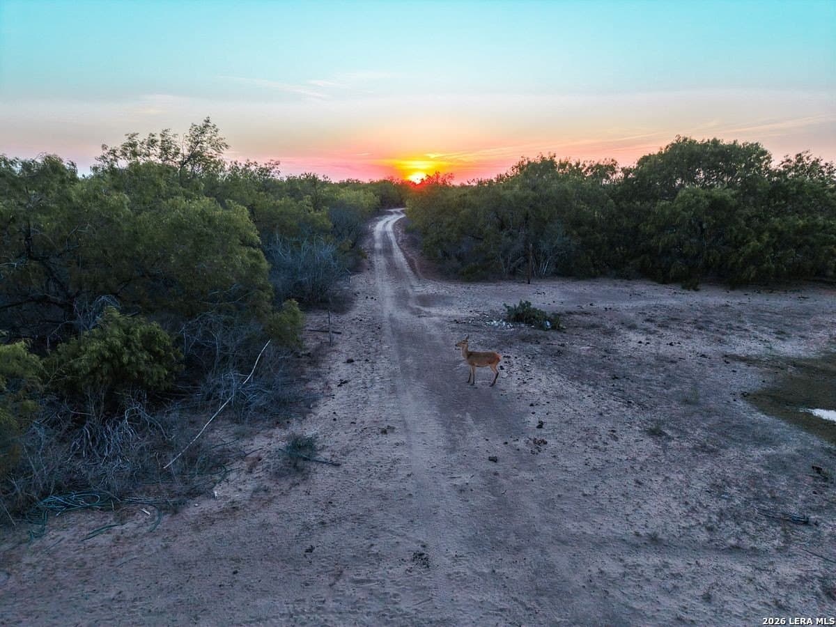 485 acres in Starr County - photo 35