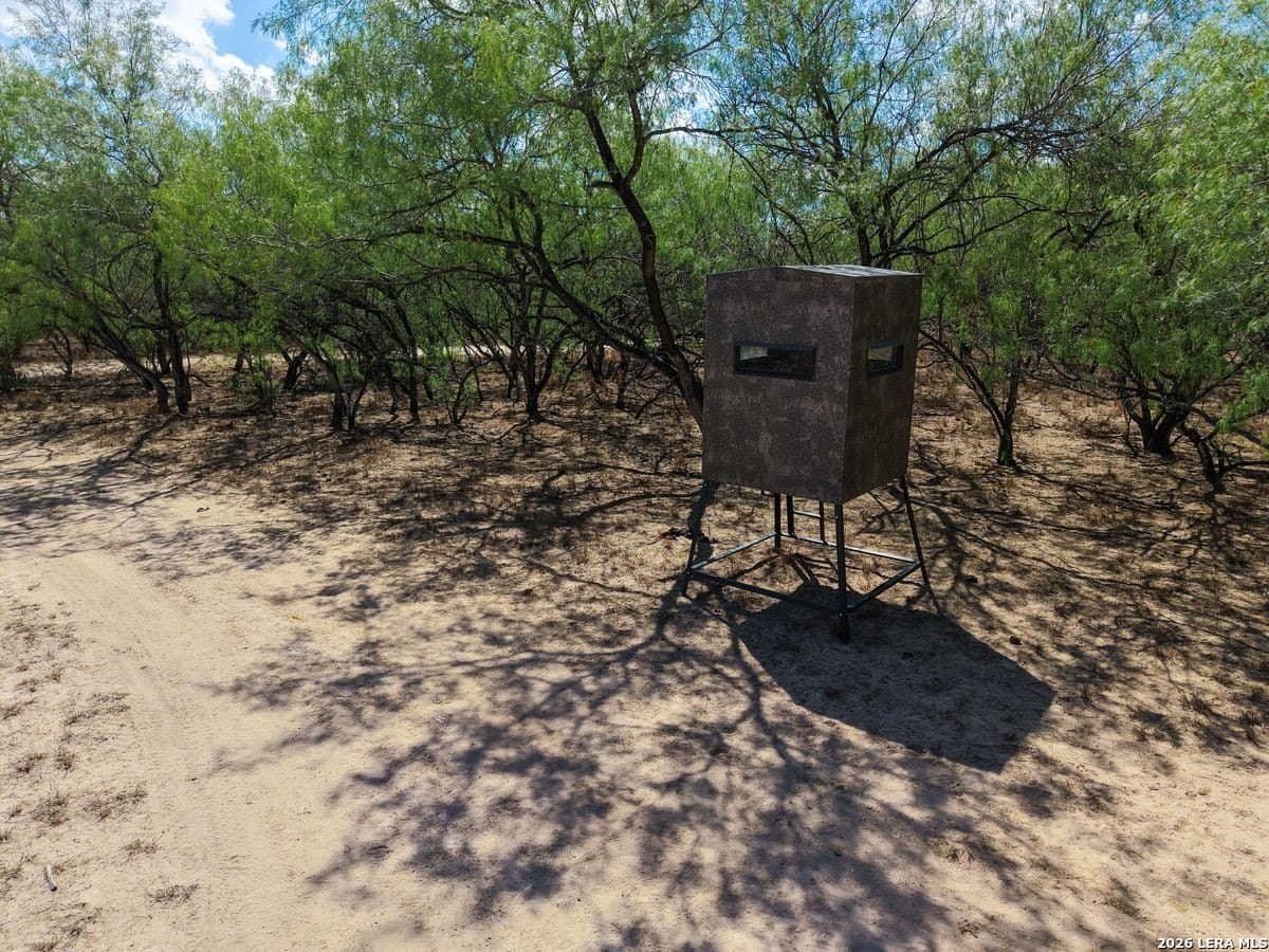 485 acres in Starr County - photo 16
