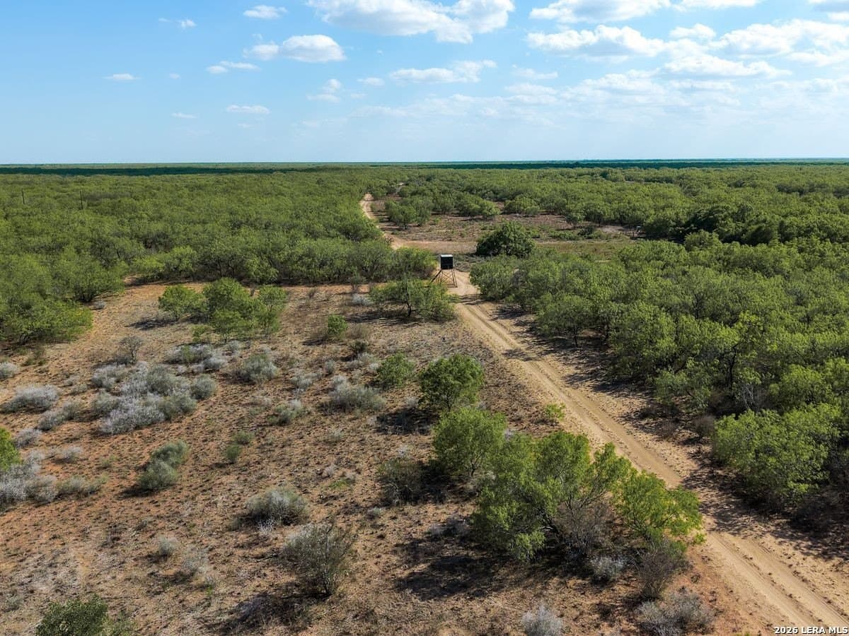 485 acres in Starr County - photo 17