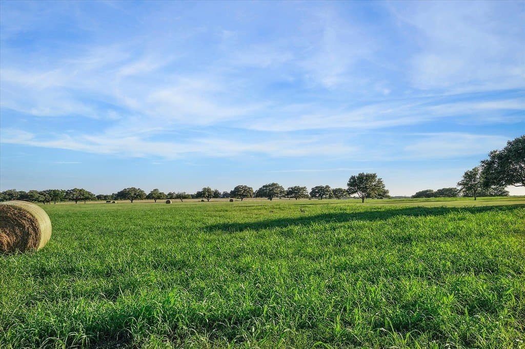 25.87 acres in Fayette County gallery image 3