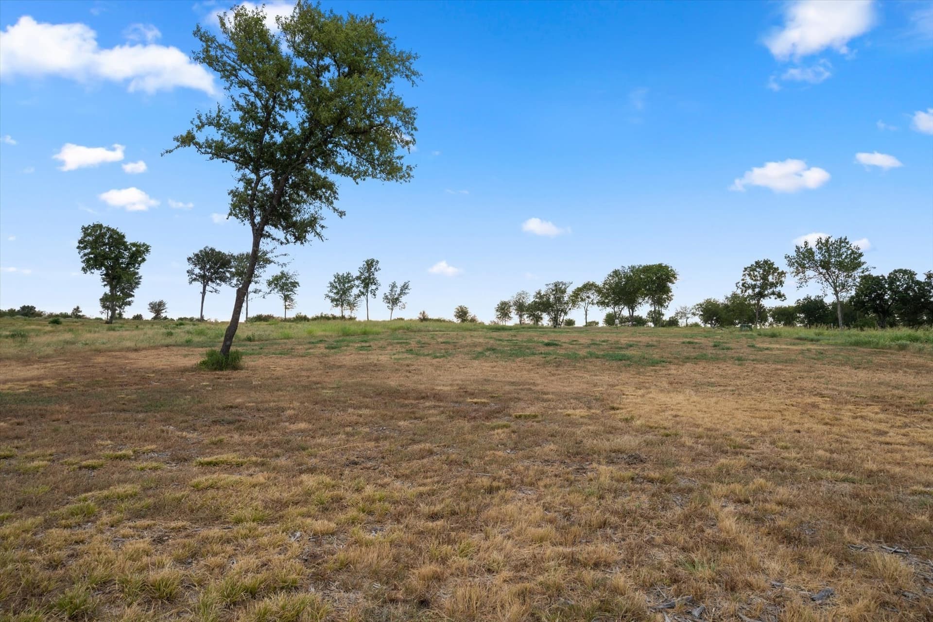 1.3 acres in Navarro County - photo 12