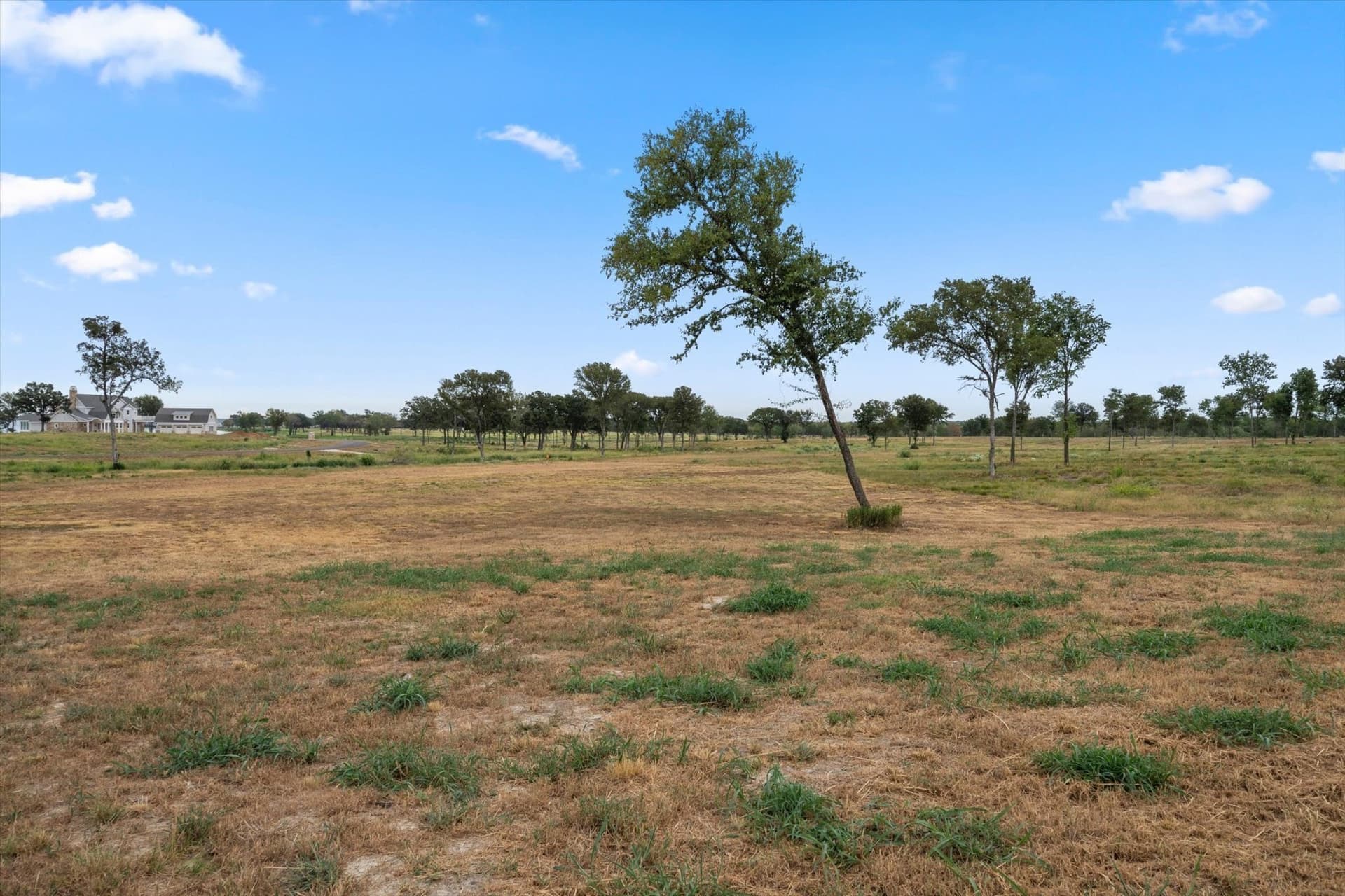 1.3 acres in Navarro County - photo 5