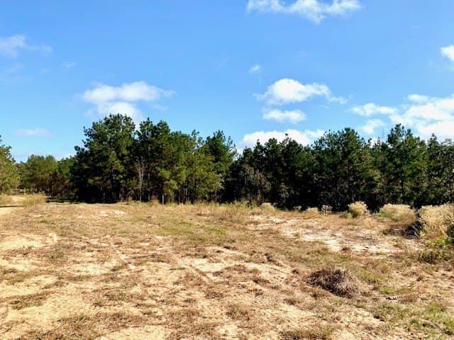 38.3 acres in Texas County gallery image 4