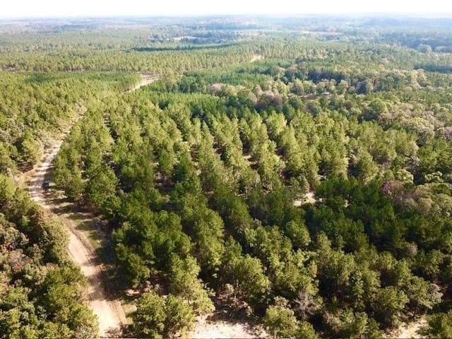 38.3 acres in Texas County