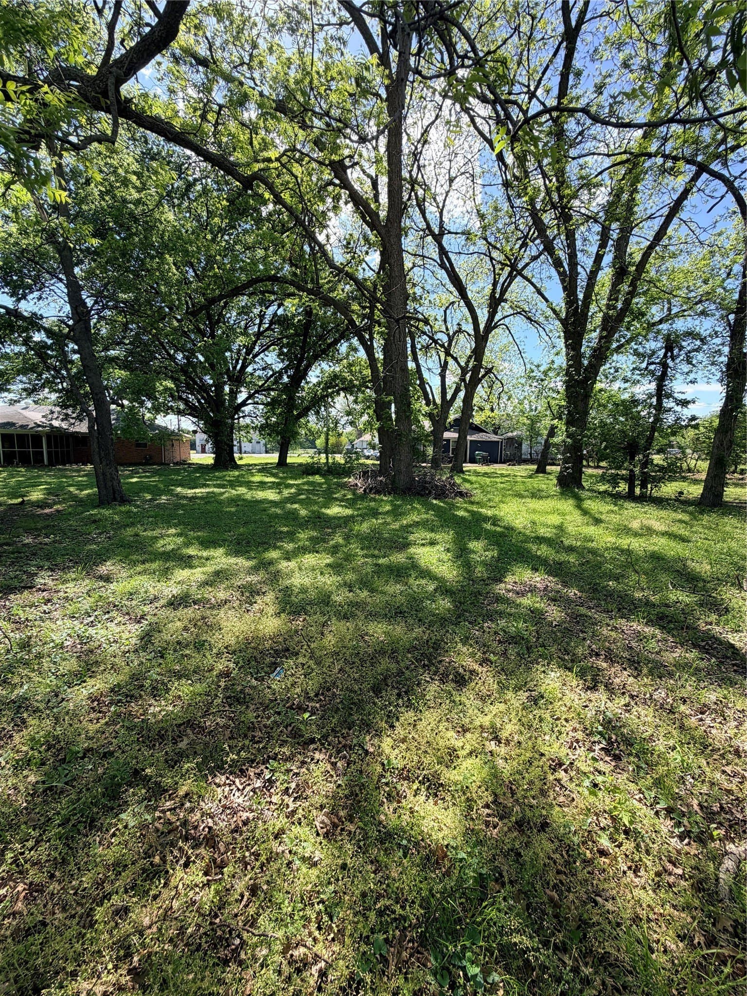 0.23 acres in Dallas County - photo 5