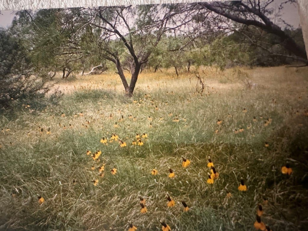 640 acres in Crockett County - photo 6