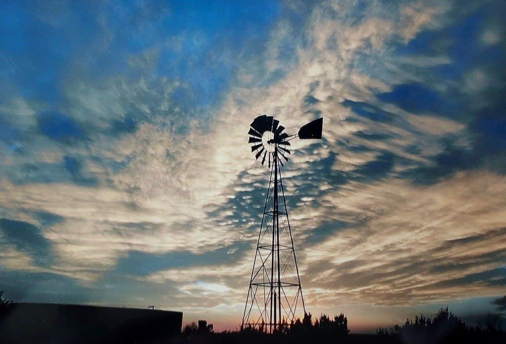 640 acres in Crockett County featured view