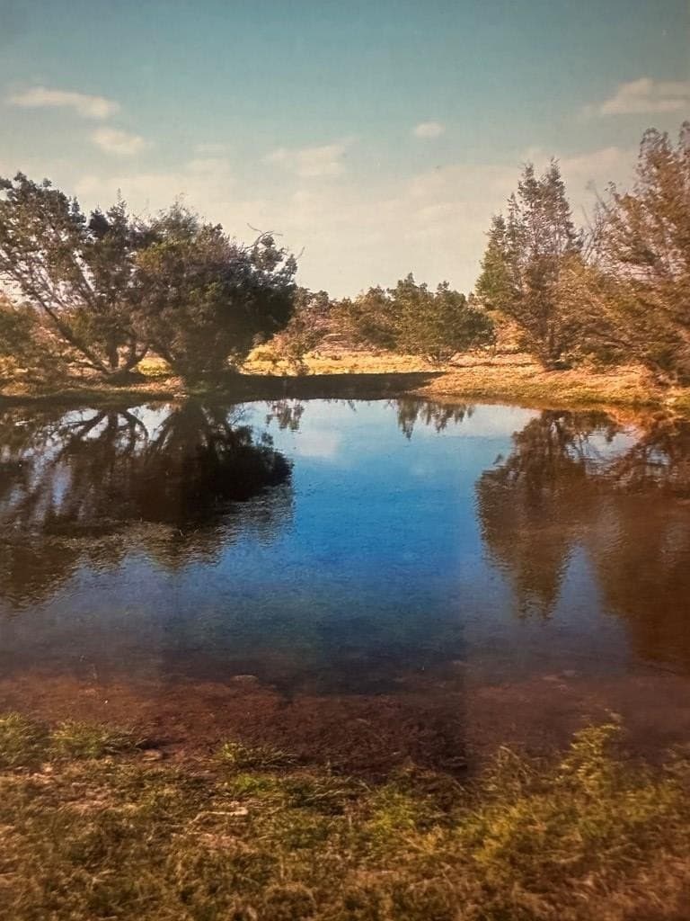 640 acres in Crockett County - photo 8