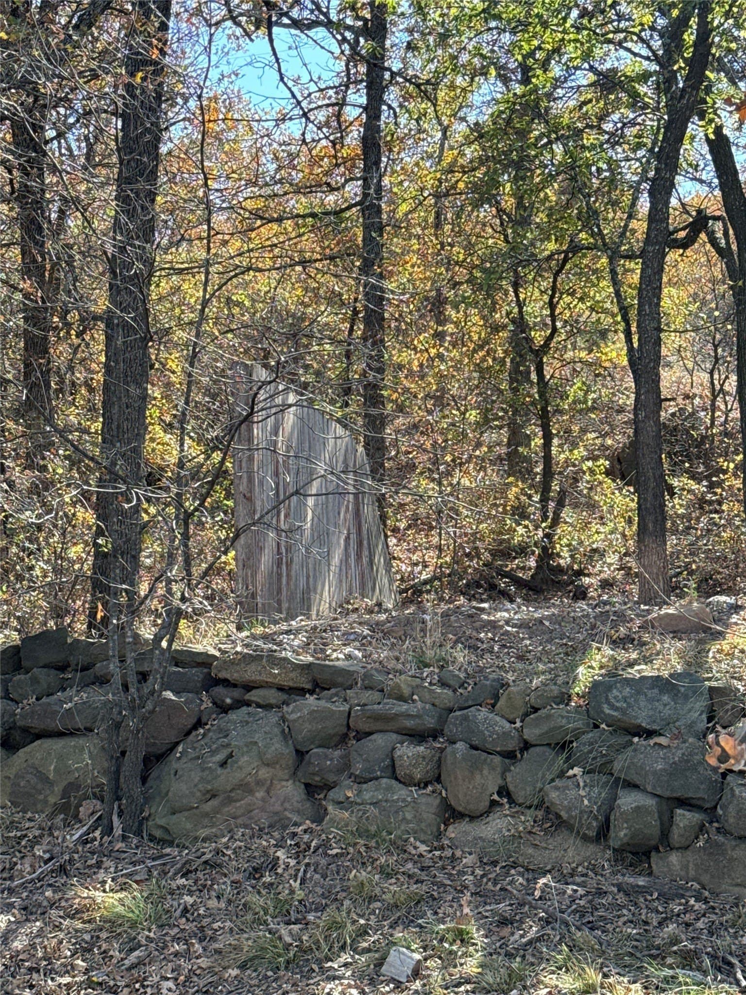 1.23 acres in Montague County - photo 14