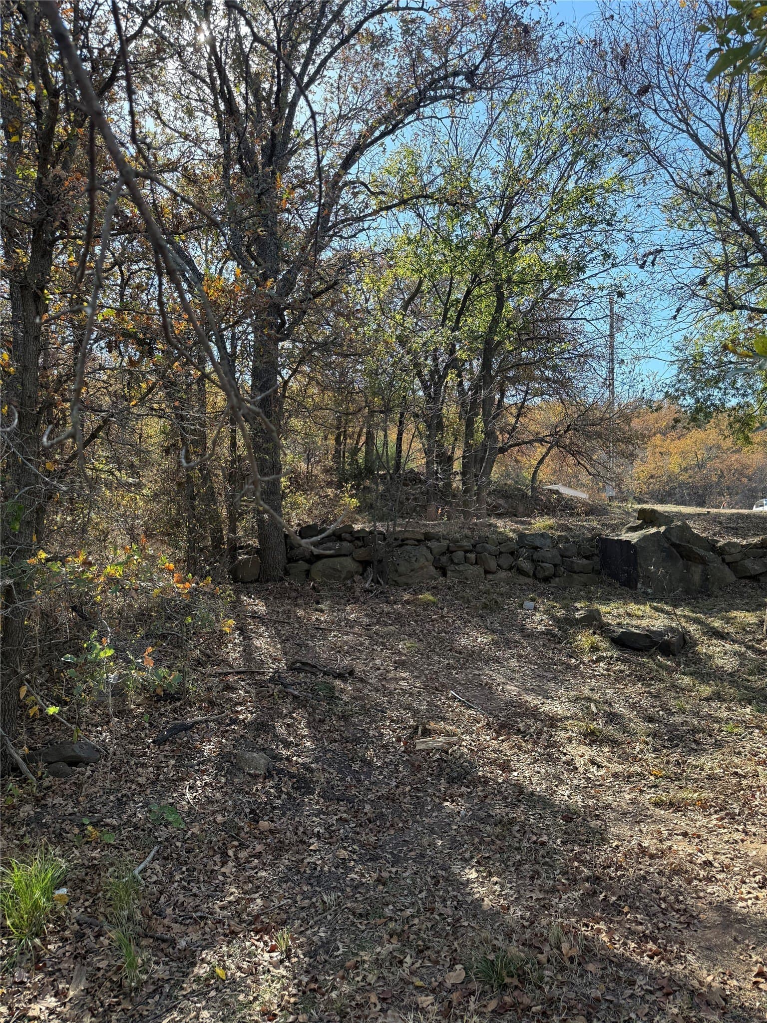 1.23 acres in Montague County - photo 13