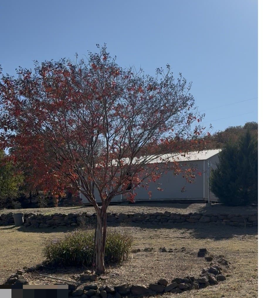1.23 acres in Montague County - photo 9