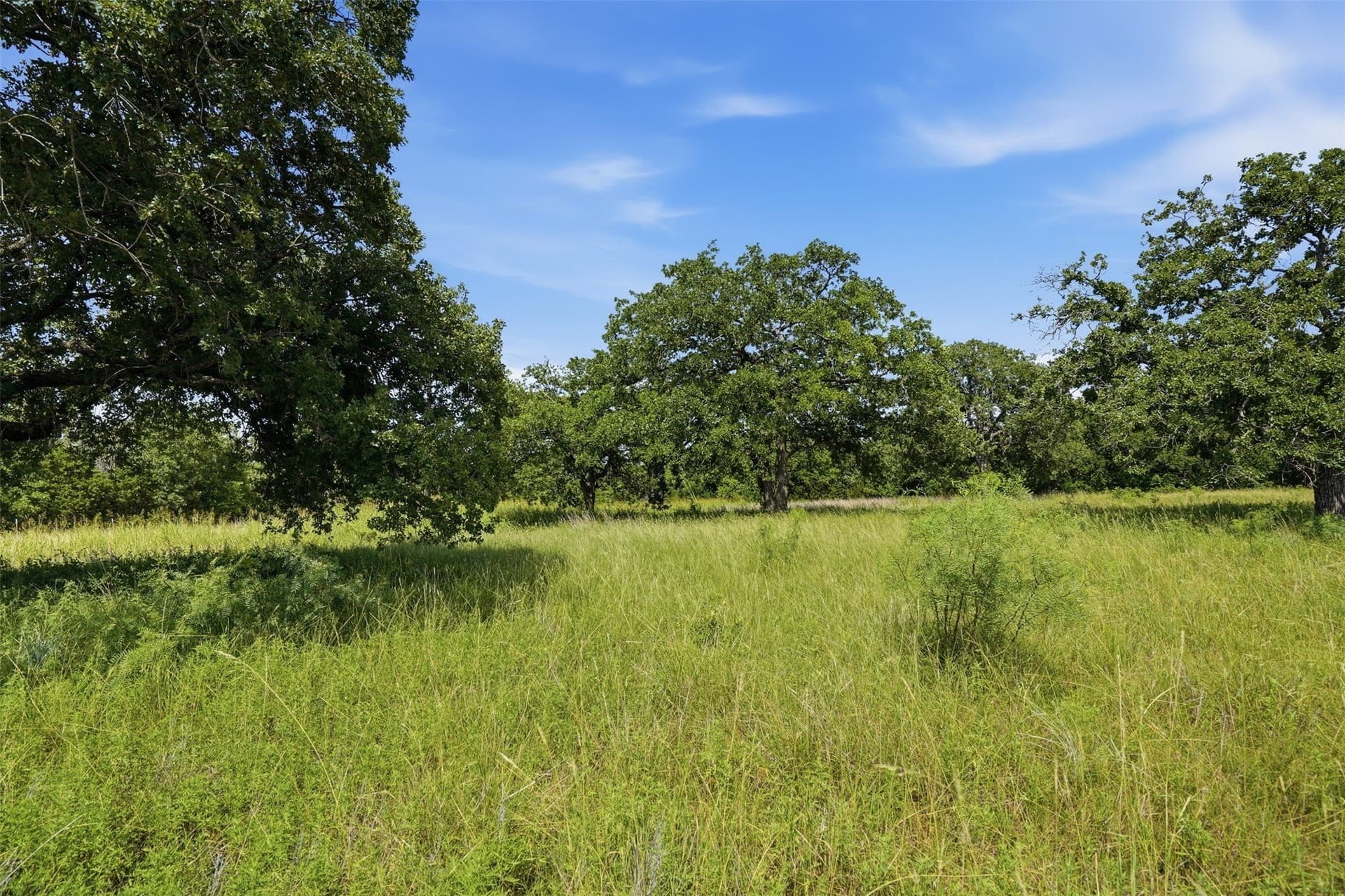 3.42 acres in Jack County - photo 10