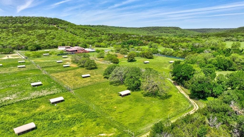 68.43 acres in Palo Pinto County gallery image 3