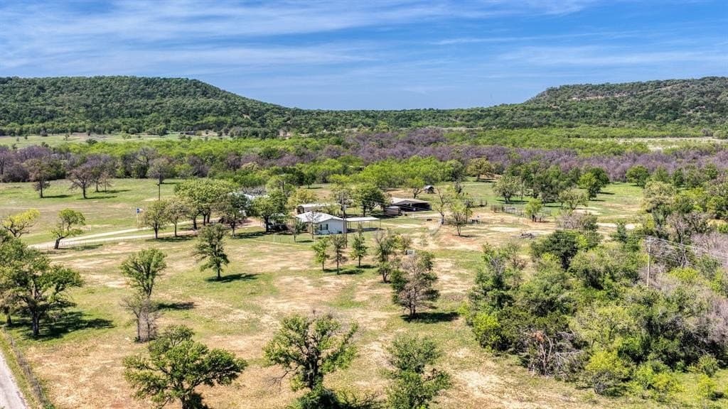 63 acres in Palo Pinto County gallery image 2