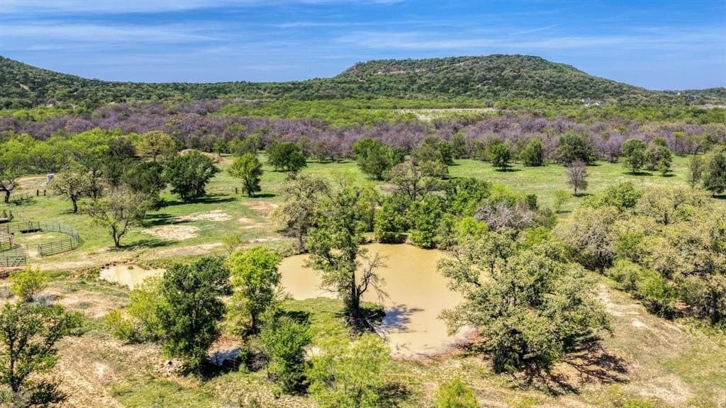 63 acres in Palo Pinto County gallery image 4