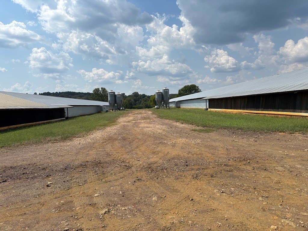 85 acres in Texas County gallery image 3