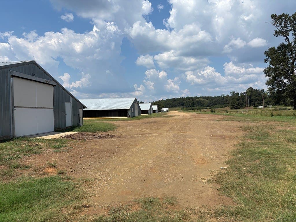 85 acres in Texas County gallery image 2