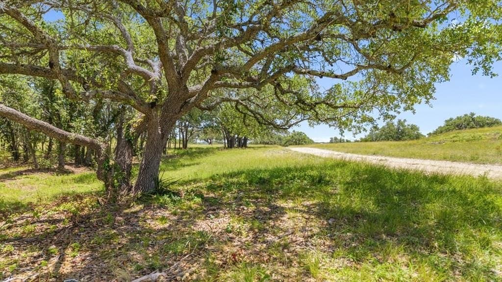 14 acres in Blanco County