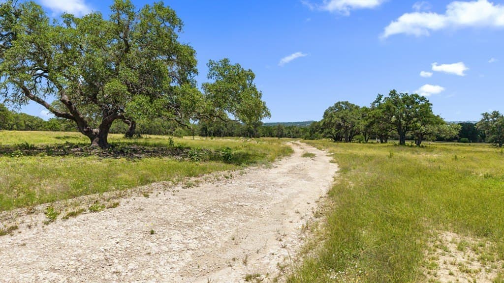 14 acres in Blanco County featured view