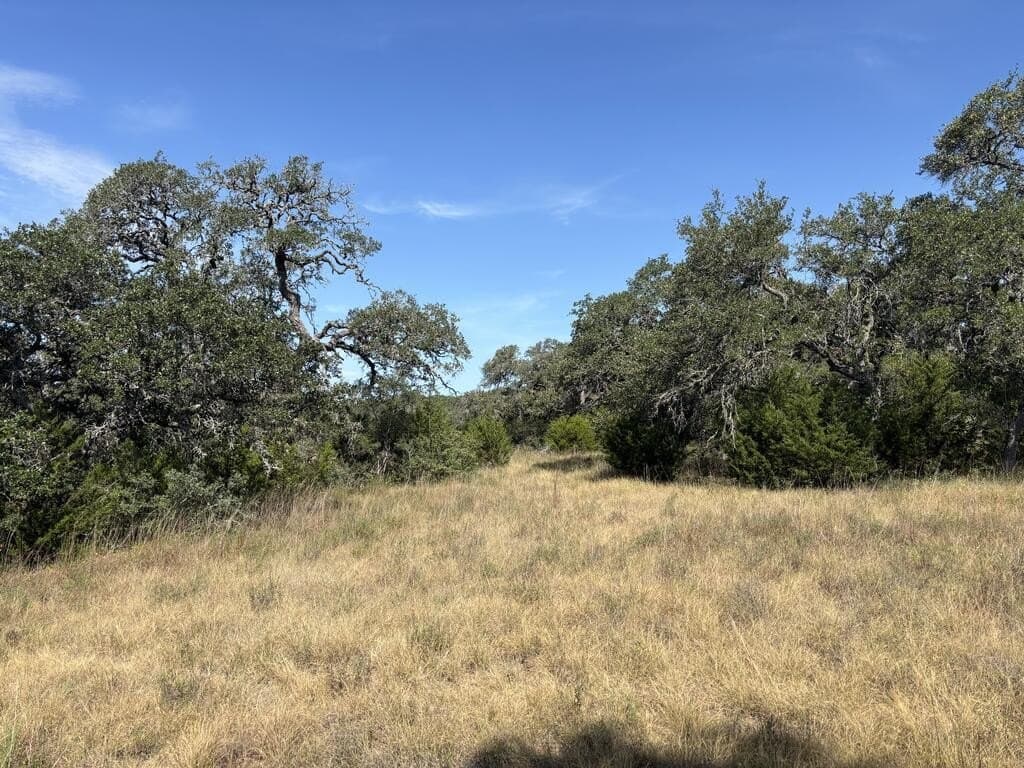 7.3 acres in Kendall County - photo 8