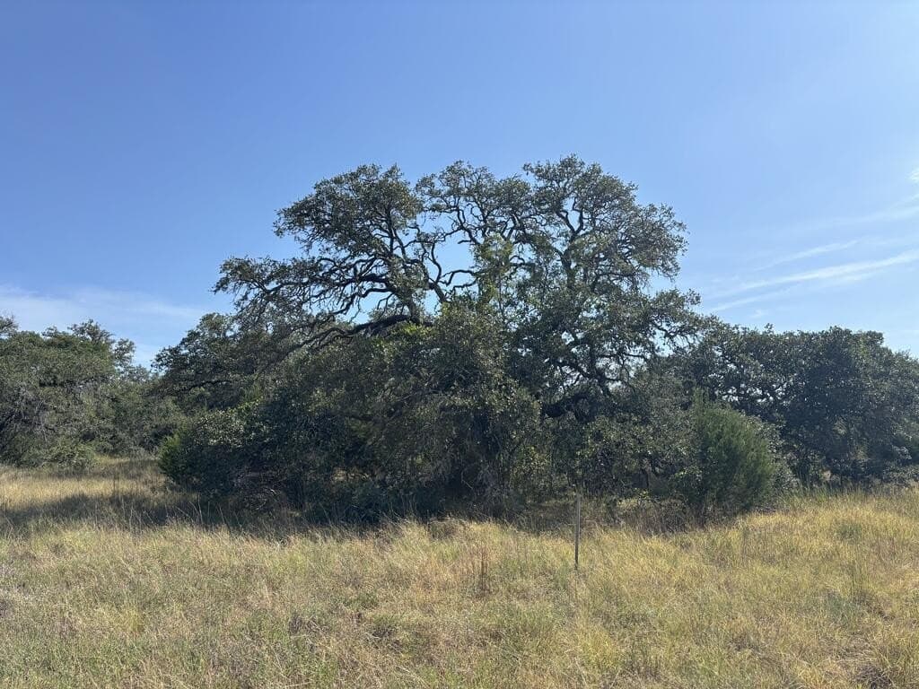 7.3 acres in Kendall County - photo 5