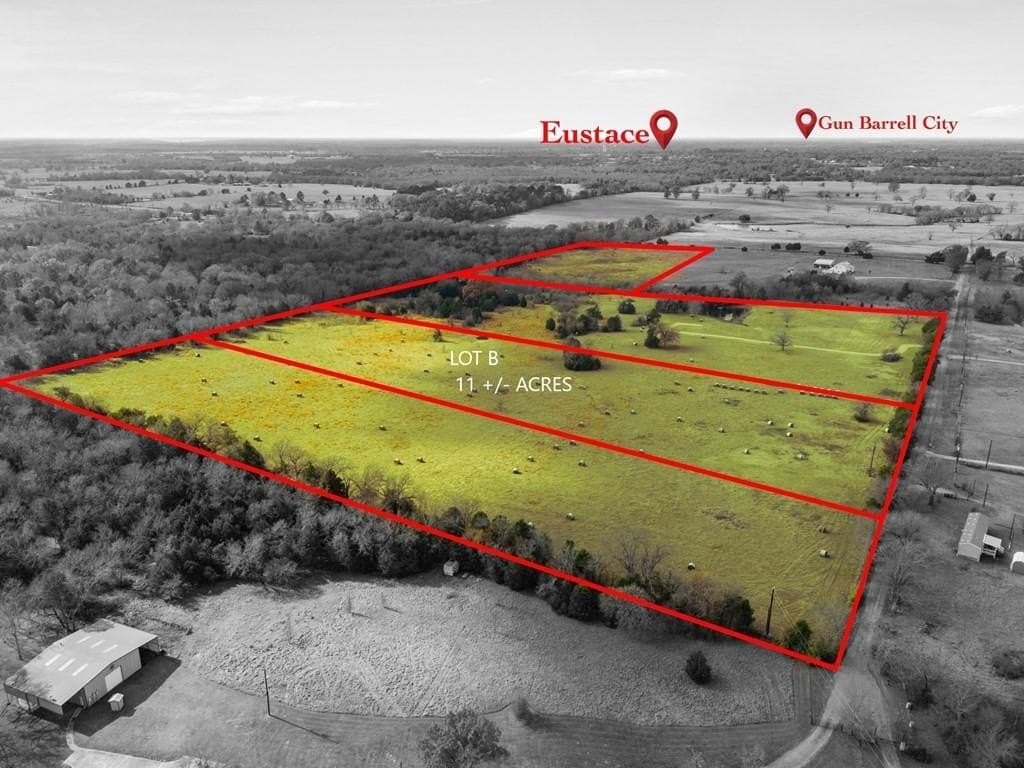 11.01 acres in Henderson County gallery image 3