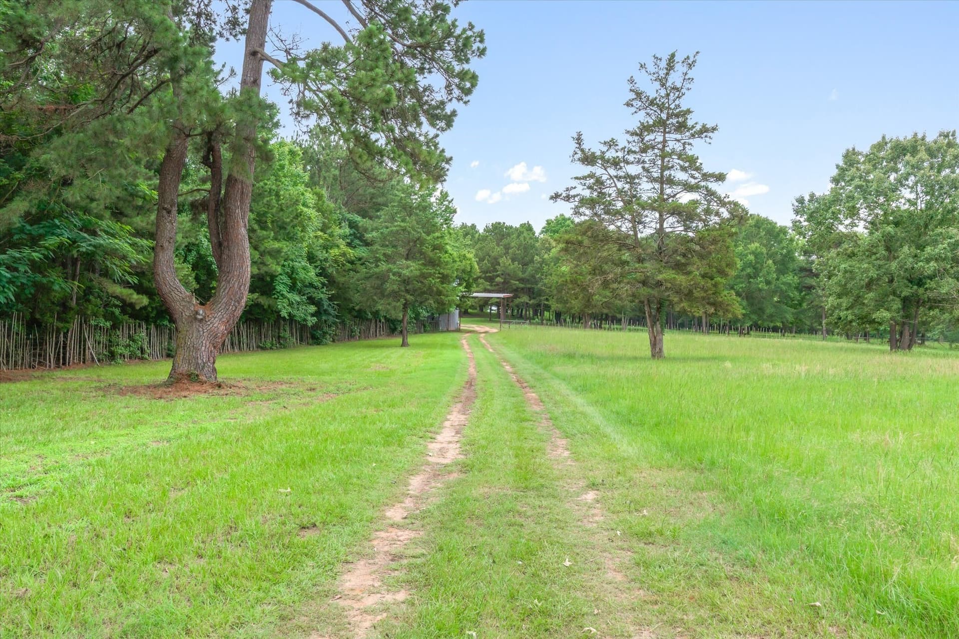 100.05 acres in Smith County gallery image 3
