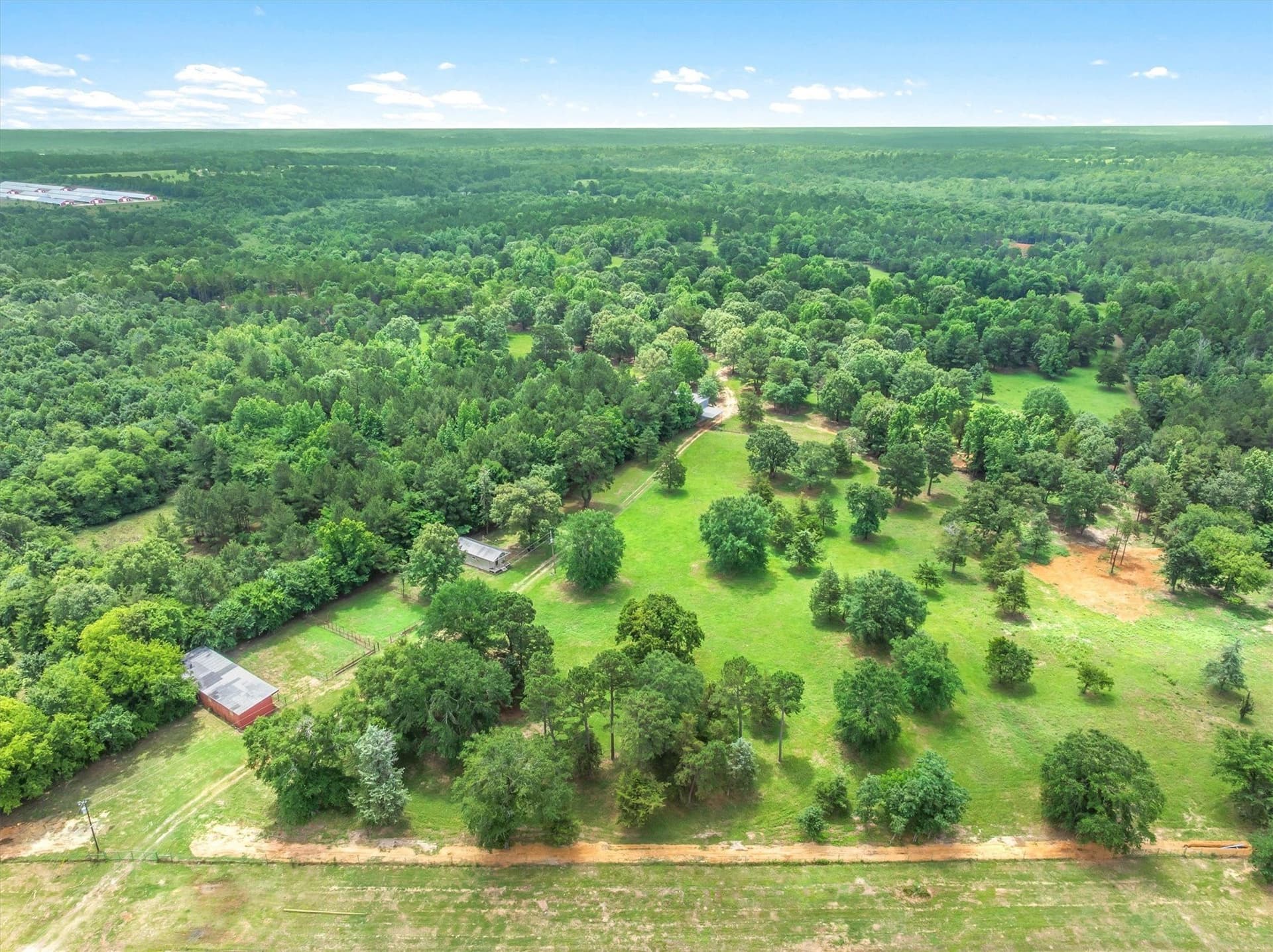 100.05 acres in Smith County gallery image 2