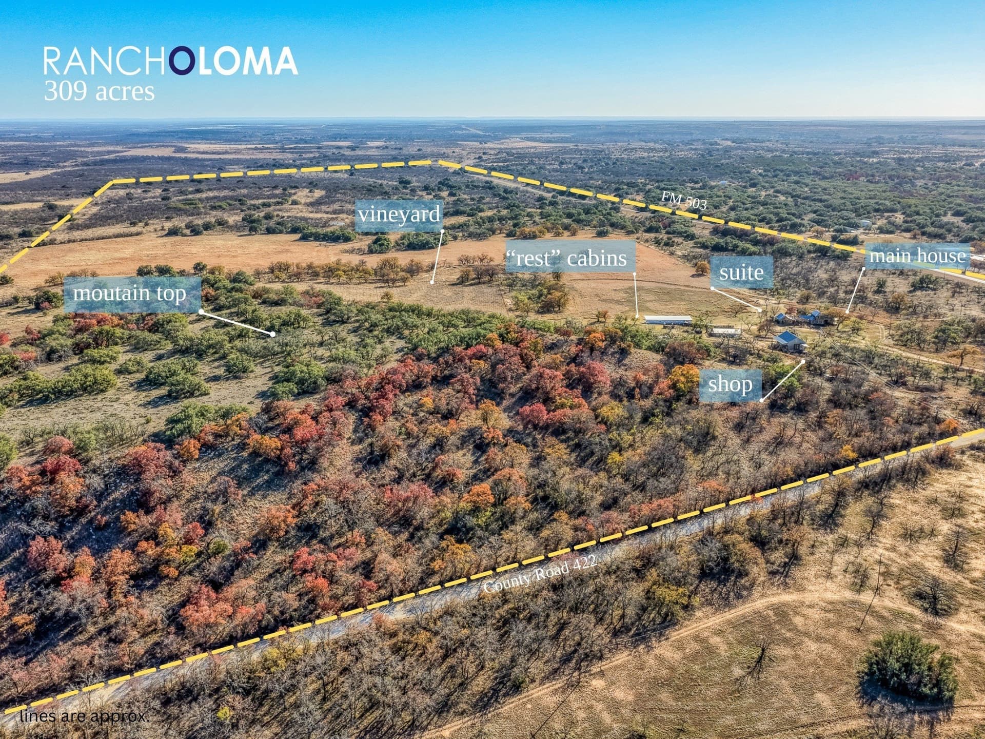 309 acres in Coleman County - photo 9