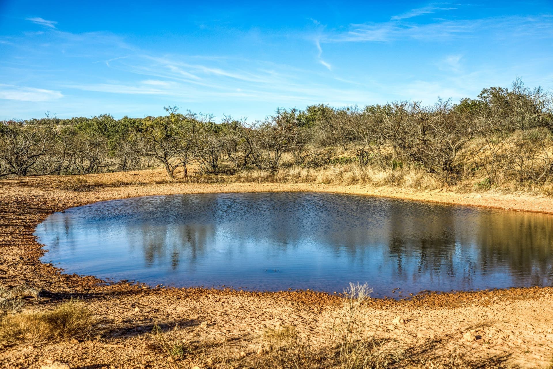 309 acres in Coleman County - photo 38