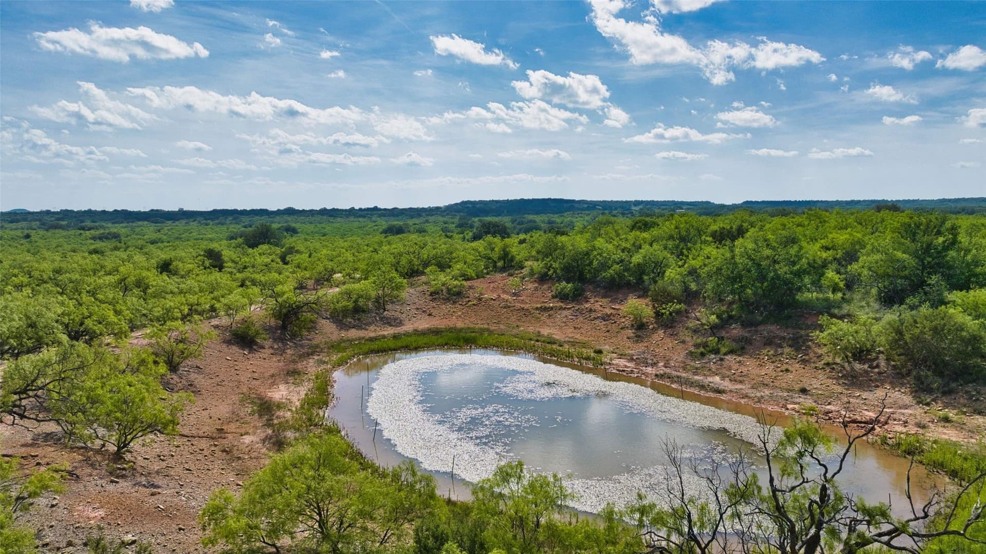 309 acres in Coleman County featured view