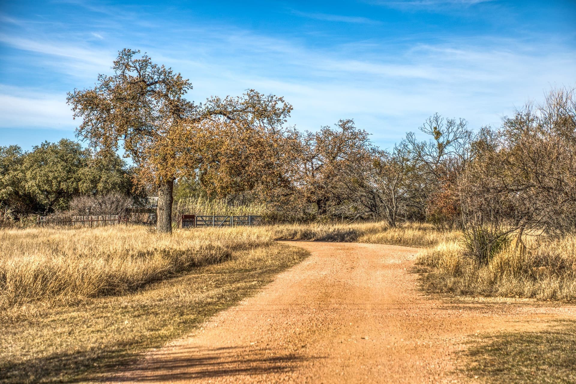 309 acres in Coleman County - photo 36