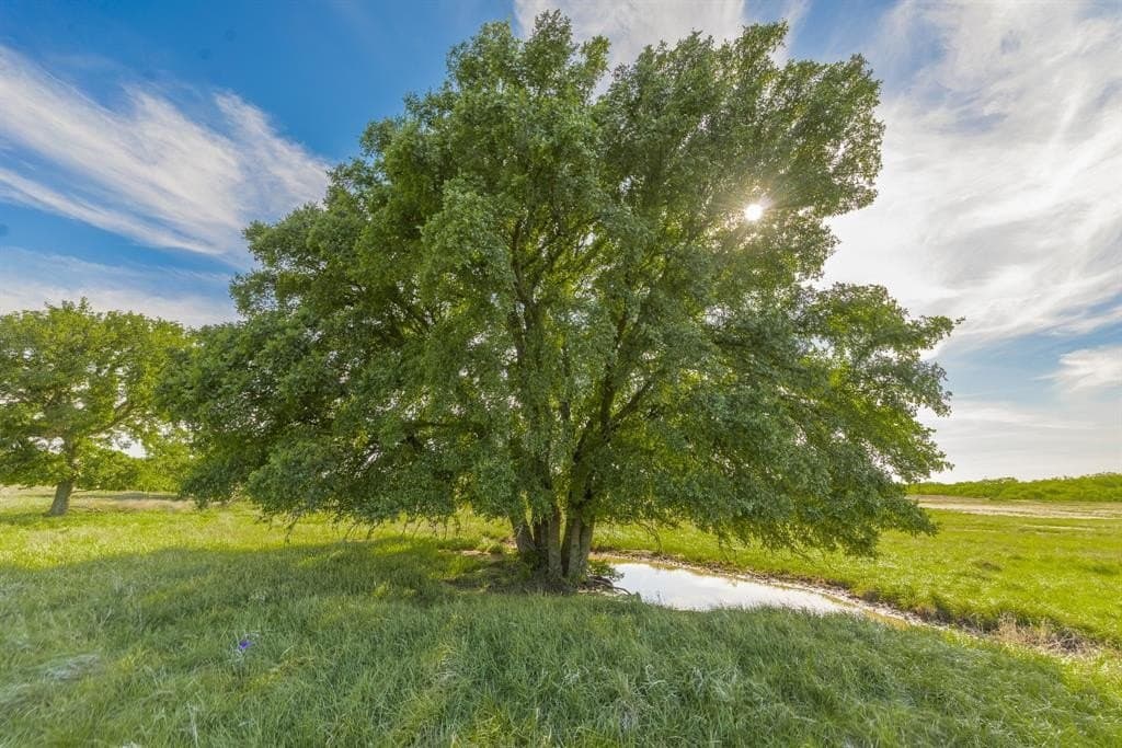 272 acres in Coleman County