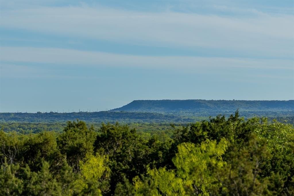 272 acres in Coleman County gallery image 3