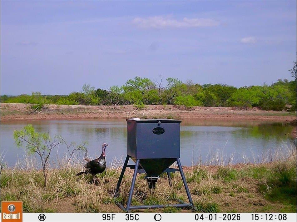 272 acres in Coleman County featured view