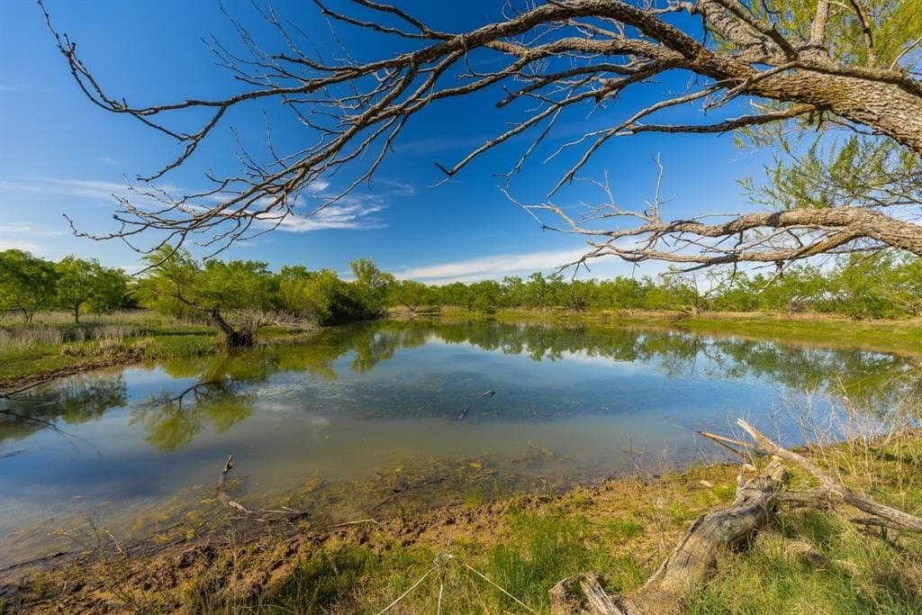 272 acres in Coleman County gallery image 4