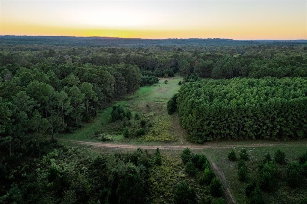 97.78 acres in Cherokee County gallery image 3