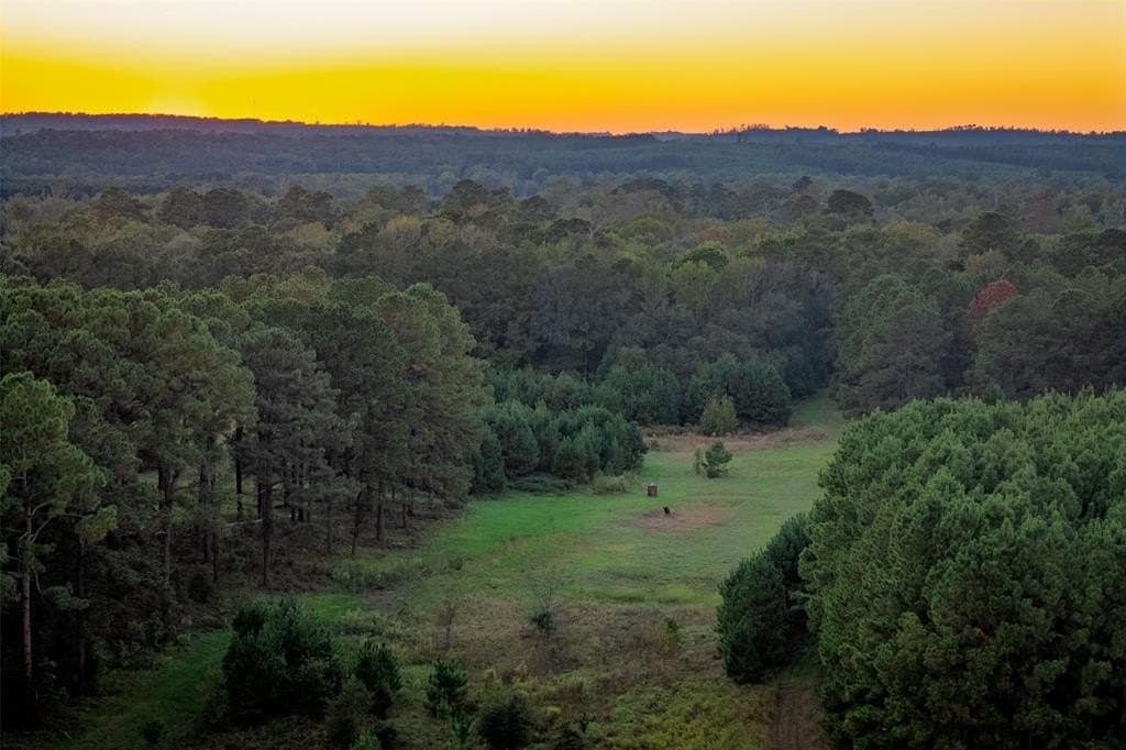 97.78 acres in Cherokee County gallery image 4