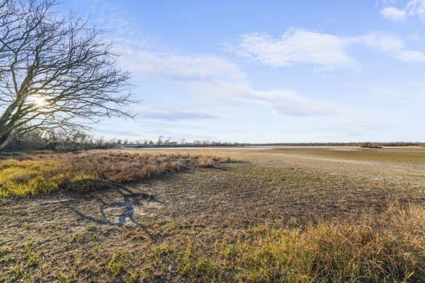 1.16 acres in Henderson County - photo 13